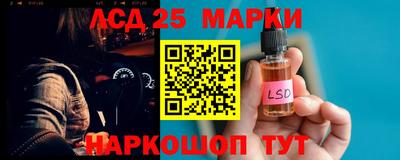 крисы Партизанск