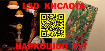 крисы Партизанск