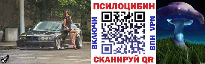Галлюциногенные грибы Psilocybe  где купить наркоту  Сунжа 