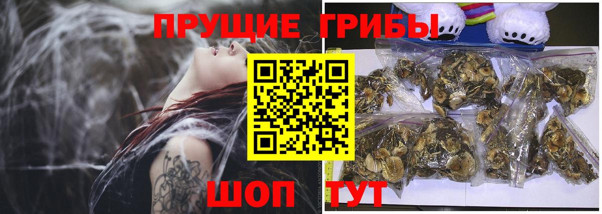 ГАШИШ Сунжа