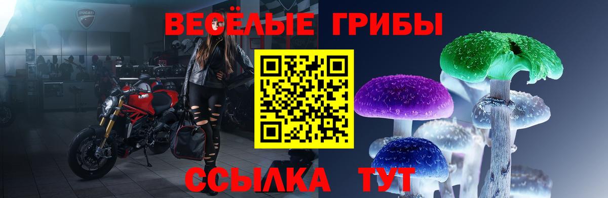 Псилоцибиновые грибы GOLDEN TEACHER  Вход с VPN  Сунжа 